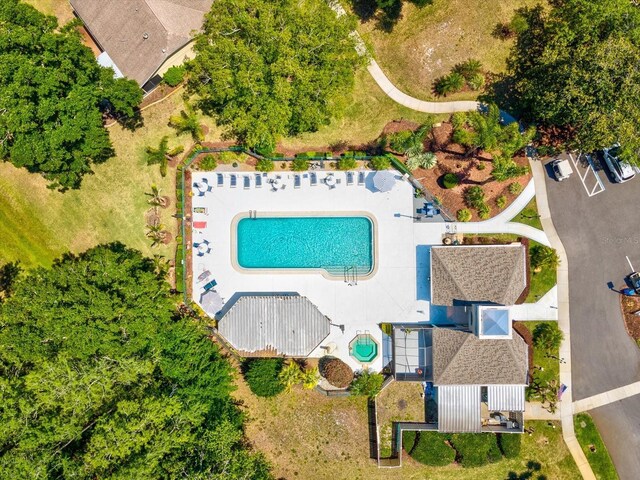 11536 Golden Rain Dr, New Port Richey, FL 34654 - drone / aerial view of a pool