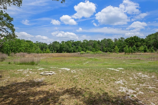 4893 S Old Floral City Rd, Inverness, FL 34450 - photo 19