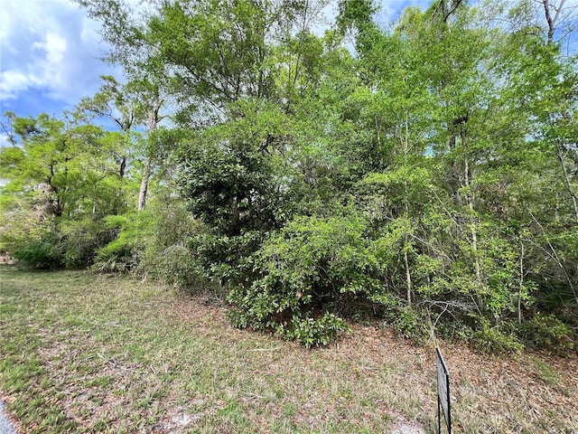 NW 74th Ct Unit 111, Chiefland, FL 32626 - photo 1