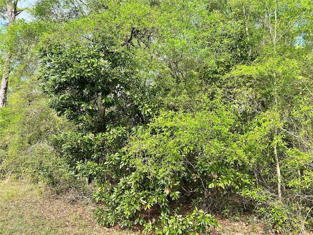 NW 74th Ct Unit 111, Chiefland, FL 32626 - photo 2