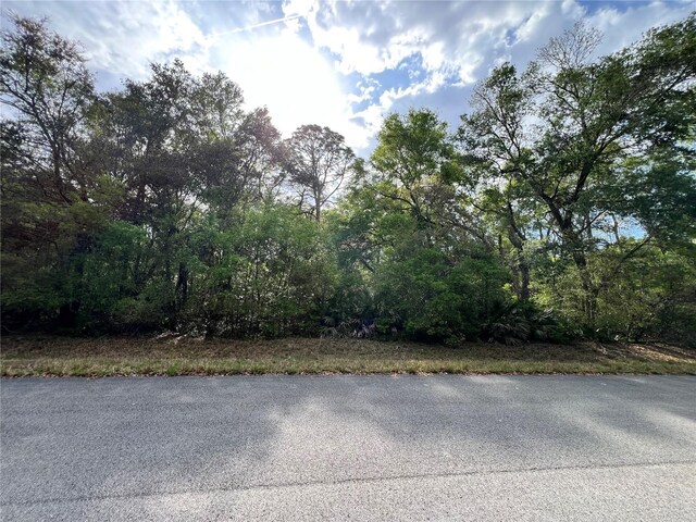 NW 74th Ct Unit 111, Chiefland, FL 32626 - photo 3