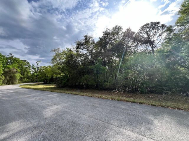 NW 74th Ct Unit 111, Chiefland, FL 32626 - photo 4