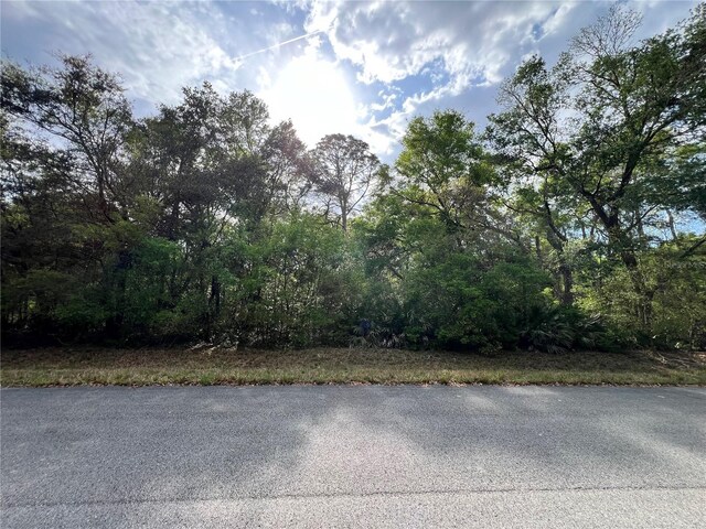 NW 74th Ct Unit 111, Chiefland, FL 32626 - photo 5