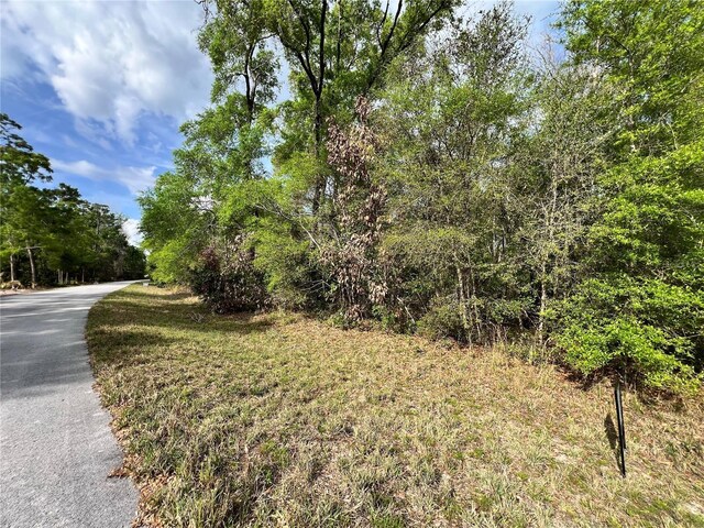 NW 74th Ct Unit 111, Chiefland, FL 32626 - photo 6