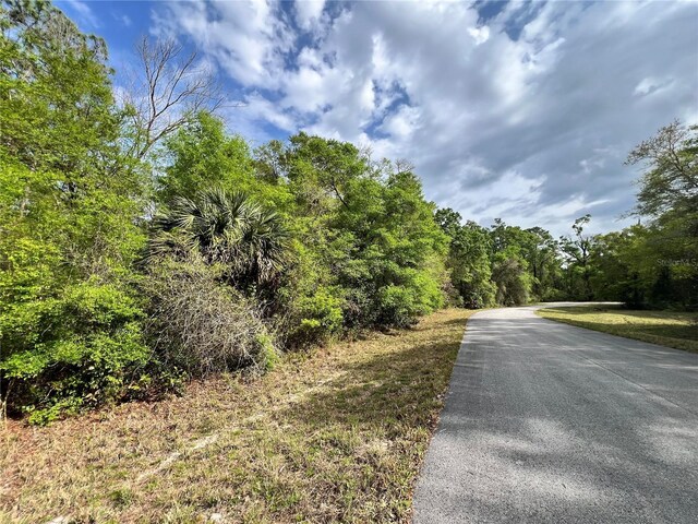 NW 74th Ct Unit 111, Chiefland, FL 32626 - photo 7
