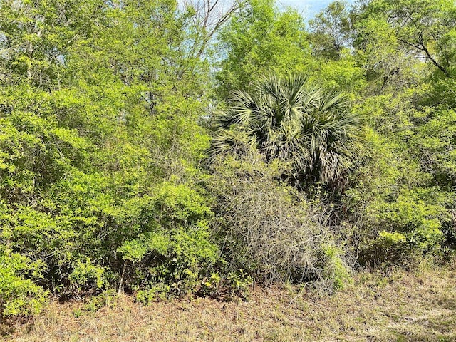 NW 74th Ct Unit 111, Chiefland, FL 32626 - photo 8