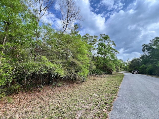 NW 74th Ct Unit 111, Chiefland, FL 32626 - photo 13
