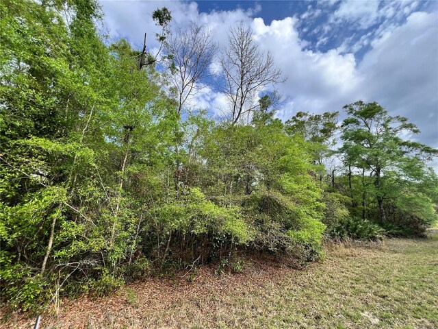 NW 74th Ct Unit 111, Chiefland, FL 32626 - photo 14