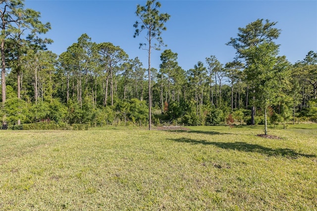 5070 Night Star Trl, Odessa, FL 33556 - view of grassy yard with a view of trees