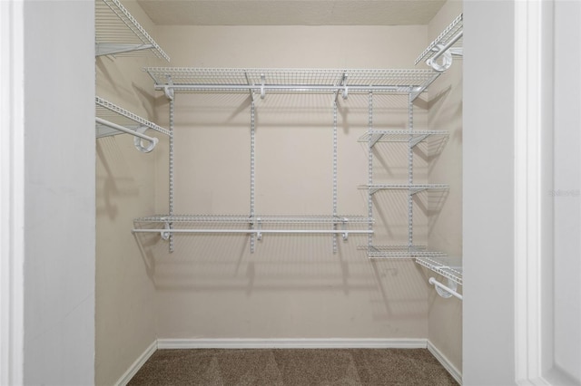 6095 W Douneray Loop, Crystal River, FL 34429 - spacious closet with carpet