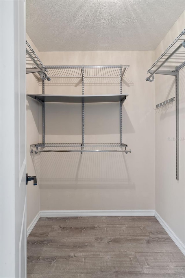 6095 W Douneray Loop, Crystal River, FL 34429 - spacious closet with wood finished floors