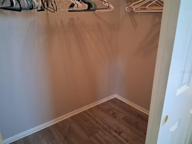 7508 Cypress Knee Dr, Hudson, FL 34667 - walk in closet with dark wood finished floors