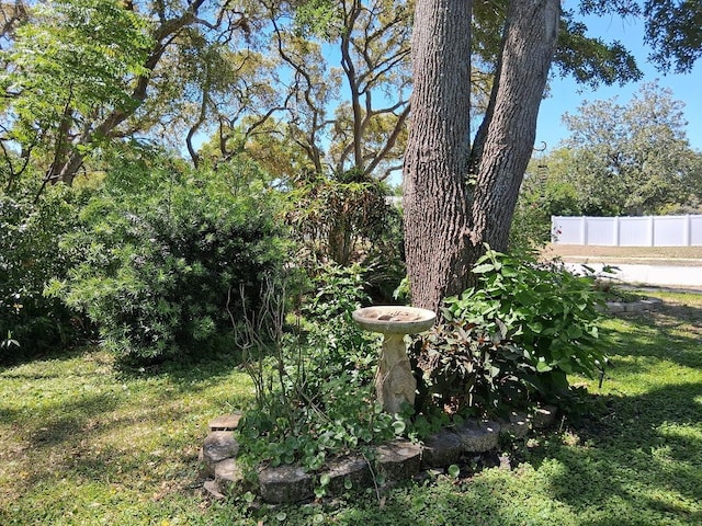 7508 Cypress Knee Dr, Hudson, FL 34667 - view of yard