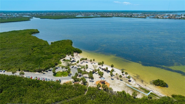8635 Creedmoor Ln, New Port Richey, FL 34654 - drone / aerial view of a nearby body of water