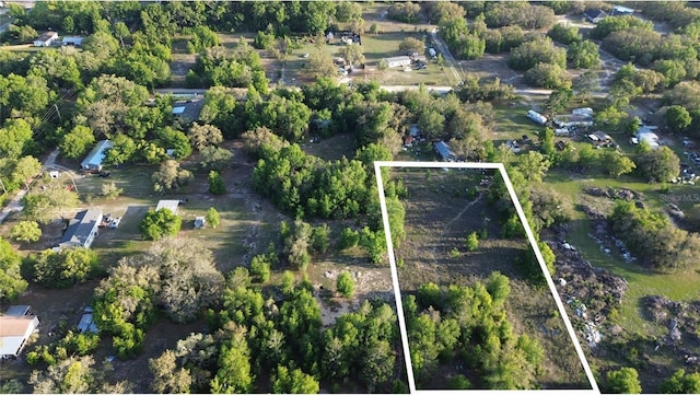 17783 Bonifay Ln, Spring Hill, FL 34610
