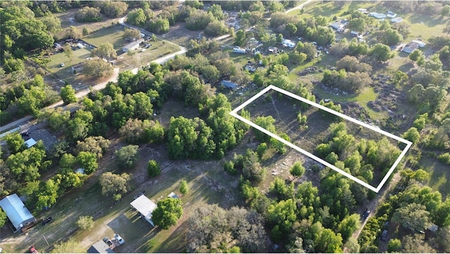 17783 Bonifay Ln, Spring Hill, FL 34610
