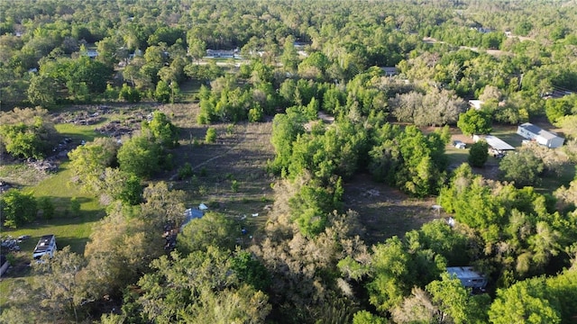 17783 Bonifay Ln, Spring Hill, FL 34610