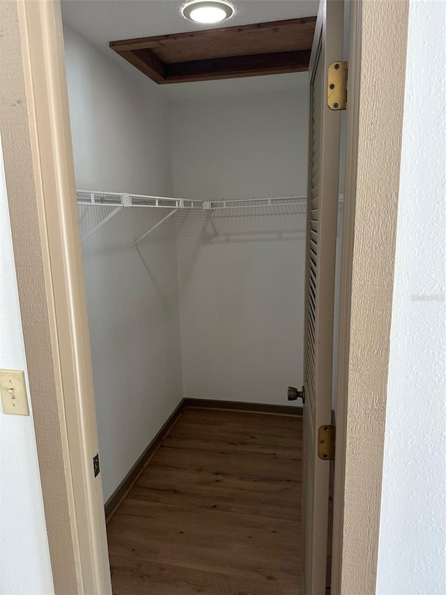 1412 Wexford Dr N, Palm Harbor, FL 34683 - spacious closet with wood finished floors
