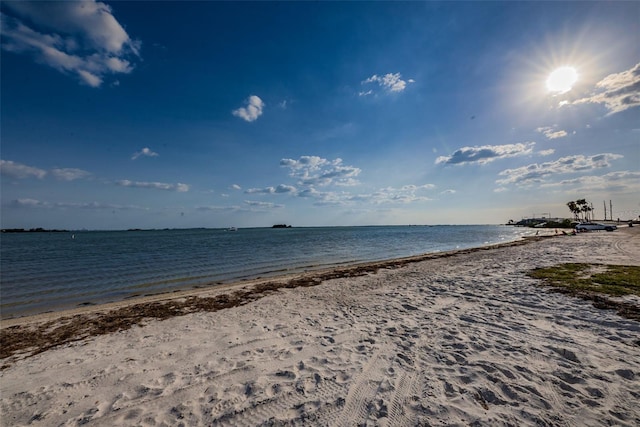 1412 Wexford Dr N, Palm Harbor, FL 34683 - photo 80