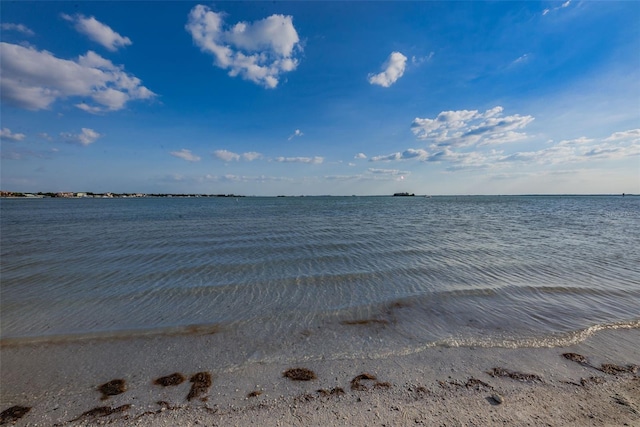 1412 Wexford Dr N, Palm Harbor, FL 34683 - photo 82