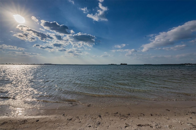 1412 Wexford Dr N, Palm Harbor, FL 34683 - photo 87