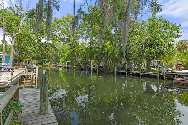 dock area with a water view