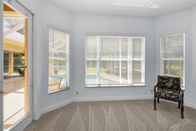 1033 Tuscany Dr, Trinity, FL 34655 - unfurnished room with baseboards, carpet, and a wealth of natural light