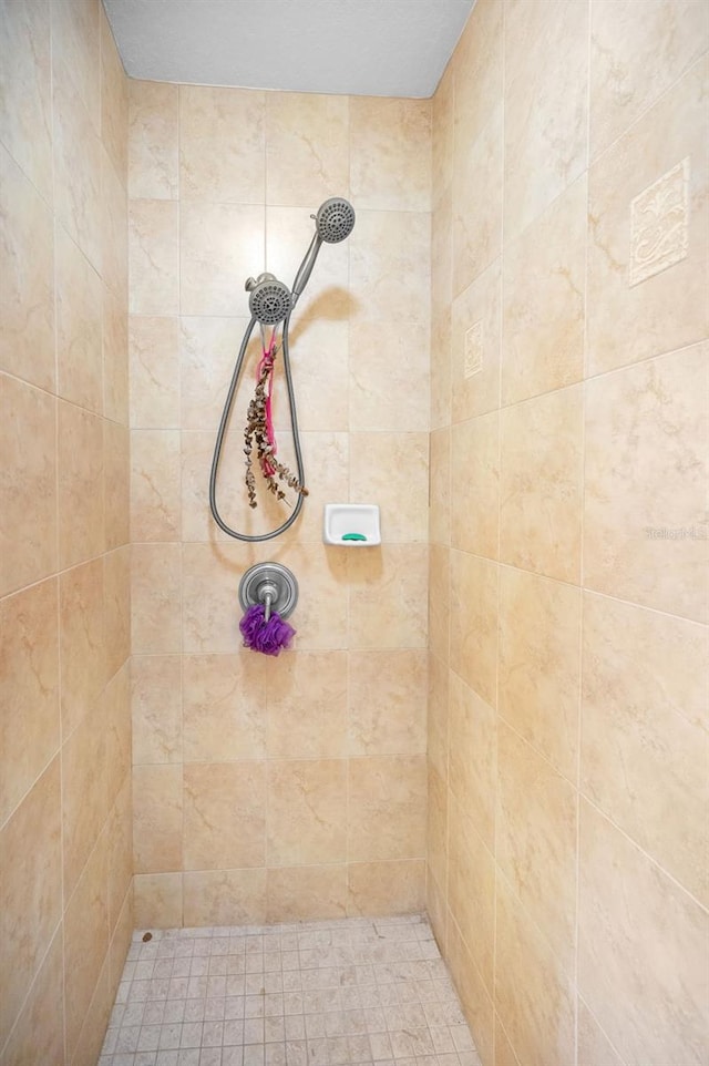 1033 Tuscany Dr, Trinity, FL 34655 - full bathroom featuring a tile shower
