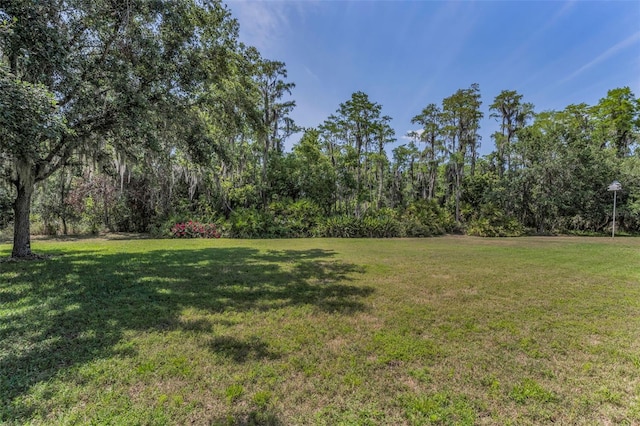 1033 Tuscany Dr, Trinity, FL 34655 - view of yard