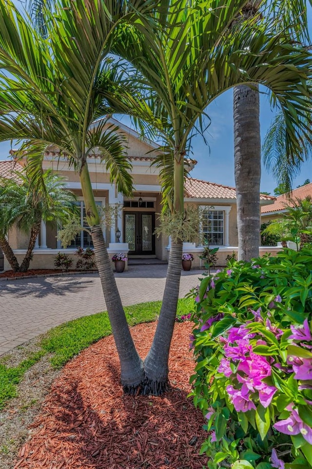 1033 Tuscany Dr, Trinity, FL 34655 - mediterranean / spanish-style house with a tiled roof, french doors, and stucco siding