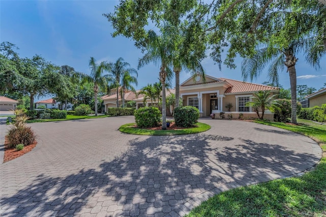 1033 Tuscany Dr, Trinity, FL 34655 - view of front of home featuring curved driveway, stucco siding, and a tile roof