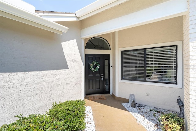 3047 Bolt Dr, Palm Harbor, FL 34685 - doorway to property featuring stucco siding