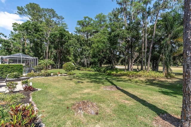 3047 Bolt Dr, Palm Harbor, FL 34685 - view of yard featuring glass enclosure