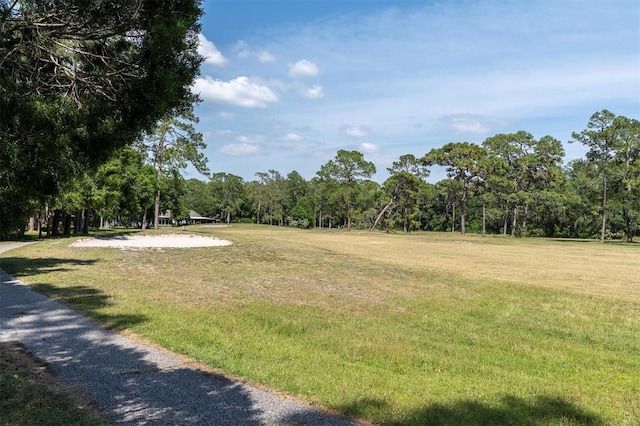 3047 Bolt Dr, Palm Harbor, FL 34685 - exterior space with a forest view
