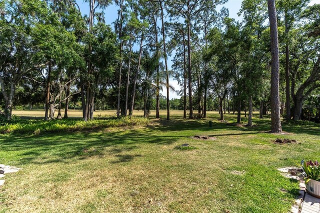 3047 Bolt Dr, Palm Harbor, FL 34685 - view of yard