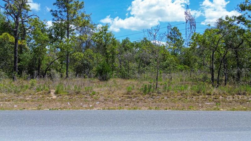 00 Dusky Warbler Rd, Brooksville, FL 34614