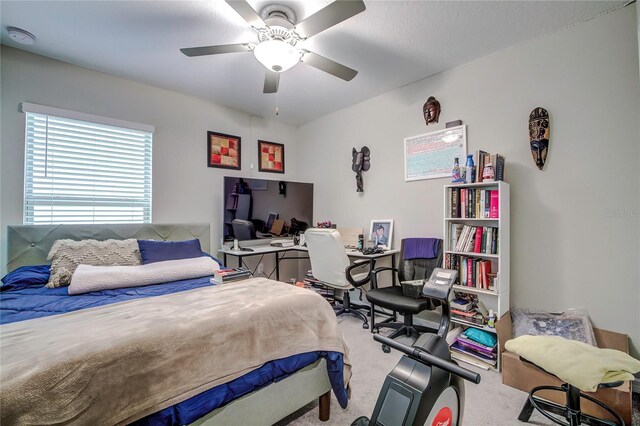 680 Argyll Dr, Spring Hill, FL 34609 - bedroom featuring a ceiling fan and carpet flooring