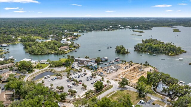 bird's eye view featuring a view of trees and a water view