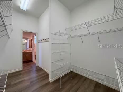 9237 Penelope Dr, Weeki Wachee, FL 34613 - spacious closet featuring wood finished floors