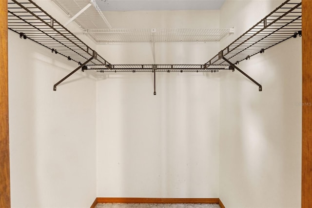 3029 Harrow Rd, Spring Hill, FL 34606 - view of walk in closet
