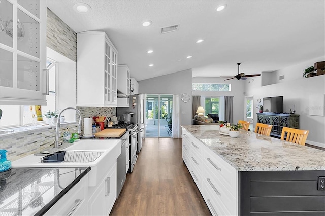 14105 Agua Clara Dr, Hudson, FL 34667 - kitchen with decorative backsplash, a center island, lofted ceiling, ceiling fan, and dark wood-type flooring