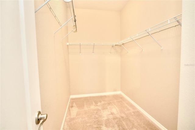 walk in closet featuring carpet floors