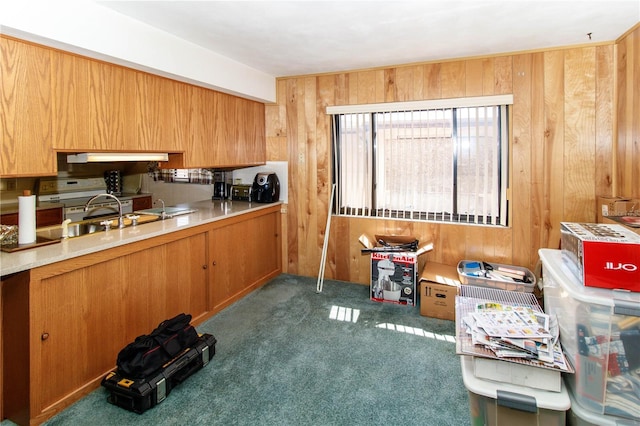 kitchen with carpet flooring, wood walls, range with electric cooktop, and under cabinet range hood