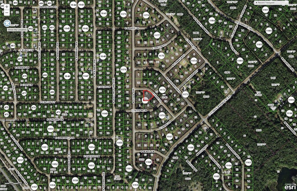 600 E Hope Pl, Citrus Springs, FL 34433 - photo 1