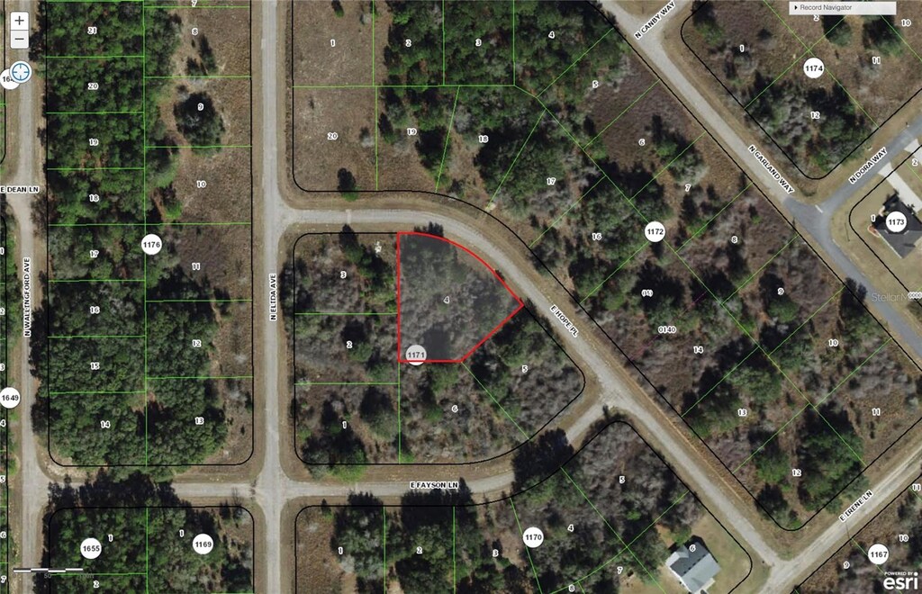 600 E Hope Pl, Citrus Springs, FL 34433 - photo 2