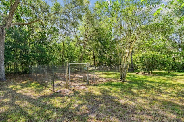18502 Winding Oaks Blvd, Hudson, FL 34667 - view of yard with fence and a gate