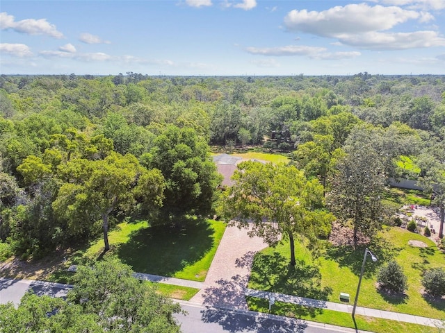 18502 Winding Oaks Blvd, Hudson, FL 34667 - birds eye view of property with a forest view