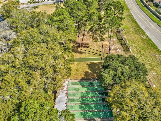 bird's eye view