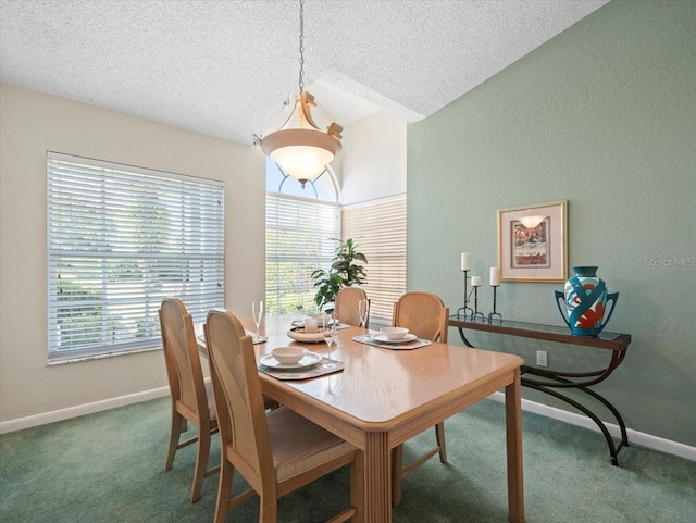 carpeted dining room with baseboards, a textured ceiling, and a textured wall