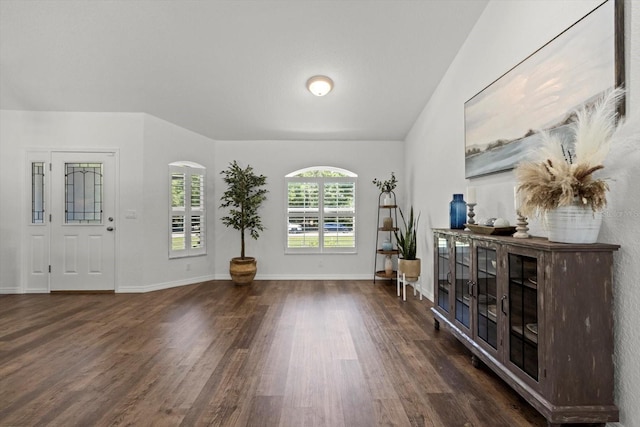 entrance foyer with baseboards and dark wood-type flooring